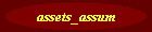 assets_assum