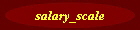 salary_scale